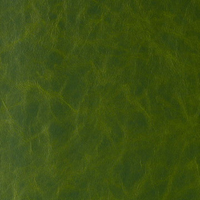 Randwick Jungle Love by Kravet Design Fabric