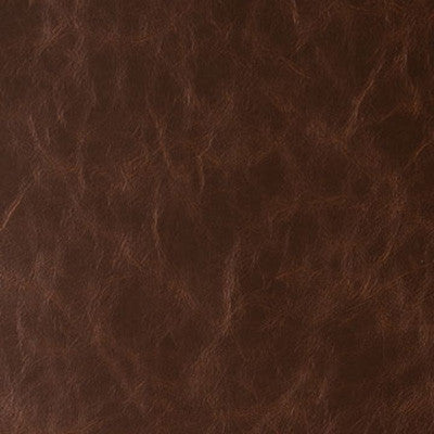Randwick Hot Chocolate by Kravet Design Fabric