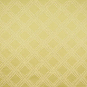 Rattan Trellis Celadon 5747311046 by Carole Fabric Exclusive