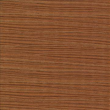 Rave Reviews Amber by Kasmir Fabric 1376 100% Polyester TURKEY 10,000 Wyzenbeek Double Rubs H: N/A, V: N/A 58 - Fabric Carolina - Kasmir
