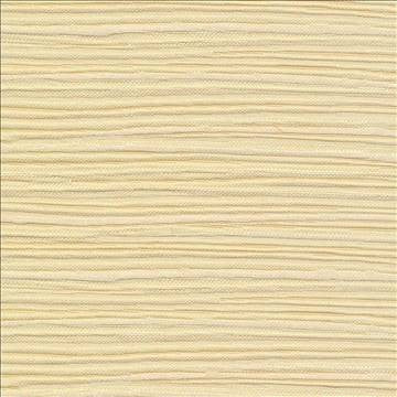 Rave Reviews Glimmer by Kasmir Fabric 1376 100% Polyester TURKEY 10,000 Wyzenbeek Double Rubs H: N/A, V: N/A 58 - Fabric Carolina - Kasmir
