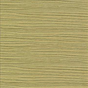 Rave Reviews Grape by Kasmir Fabric 1376 100% Polyester TURKEY 10,000 Wyzenbeek Double Rubs H: N/A, V: N/A 58 - Fabric Carolina - Kasmir