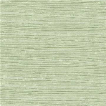 Rave Reviews Jade by Kasmir Fabric 1376 100% Polyester TURKEY 10,000 Wyzenbeek Double Rubs H: N/A, V: N/A 58 - Fabric Carolina - Kasmir