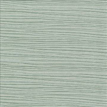 Rave Reviews Lake by Kasmir Fabric 1376 100% Polyester TURKEY 10,000 Wyzenbeek Double Rubs H: N/A, V: N/A 58 - Fabric Carolina - Kasmir