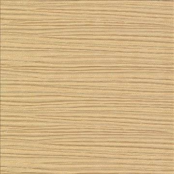 Rave Reviews Sand by Kasmir Fabric 1376 100% Polyester TURKEY 10,000 Wyzenbeek Double Rubs H: N/A, V: N/A 58 - Fabric Carolina - Kasmir