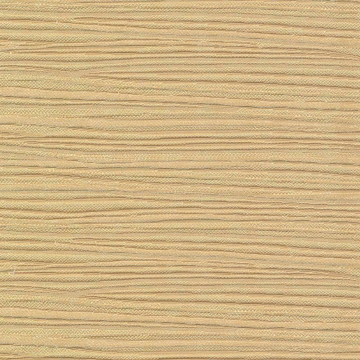 Rave Reviews Sand by Kasmir Fabric 1376 TURKEY 10,000 Wyzenbeek Double Rubs H: N/A, V:N/A 58 - Fabric Carolina - Kasmir