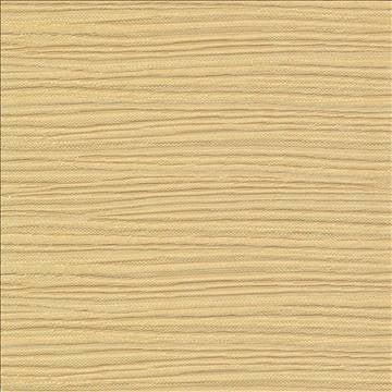 Rave Reviews Sunshine by Kasmir Fabric 1376 100% Polyester TURKEY 10,000 Wyzenbeek Double Rubs H: N/A, V: N/A 58 - Fabric Carolina - Kasmir