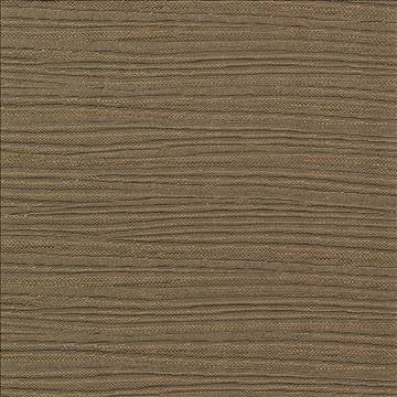 Rave Reviews Walnut by Kasmir Fabric 1376 100% Polyester TURKEY 10,000 Wyzenbeek Double Rubs H: N/A, V: N/A 58 - Fabric Carolina - Kasmir