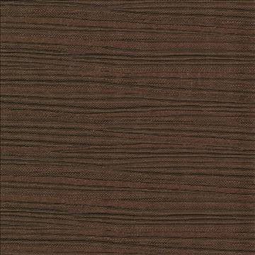 Rave Reviews Wenge by Kasmir Fabric 1376 100% Polyester TURKEY 10,000 Wyzenbeek Double Rubs H: N/A, V: N/A 58 - Fabric Carolina - Kasmir
