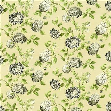 Ravishing Licorice by Kasmir Fabric 5105 100% Cotton PERU 42,000 Wyzenbeek Double Rubs H: 54 inches, V: 24 2/8 inches 54 - Fabric Carolina - Kasmir