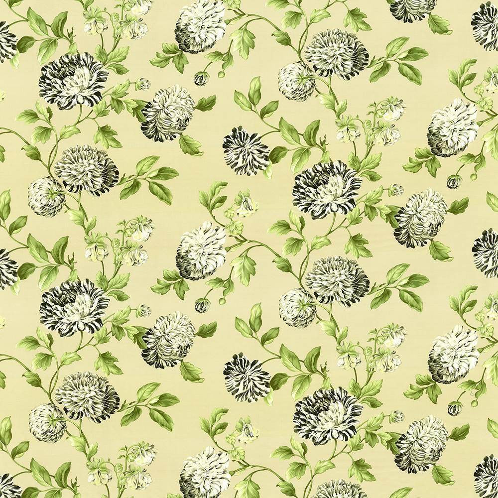 Ravishing Licorice by Kasmir Fabric 5105 PERU 42,000 Wyzenbeek Double Rubs H: 54 inches, V:24 2/8 inches 54 - Fabric Carolina - Kasmir