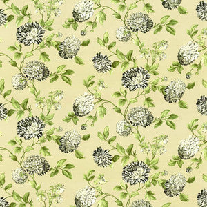 Ravishing Licorice by Kasmir Fabric