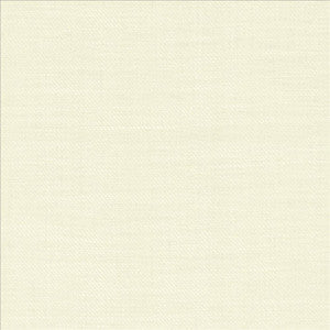 Rayner Ivory by Kasmir Fabric