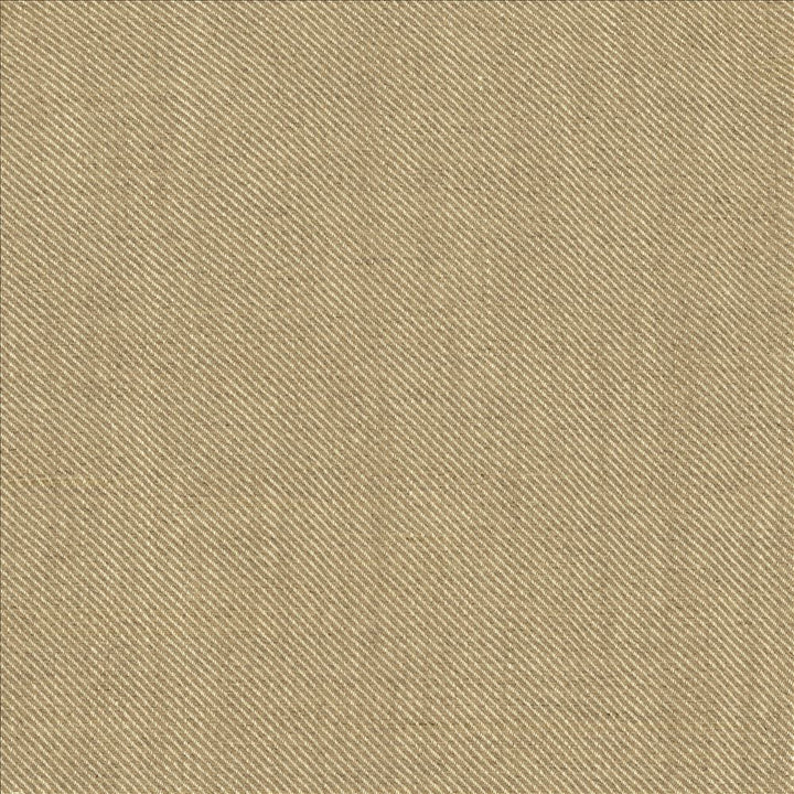 Rayner Oatmeal by Kasmir Fabric 1459 100% Linen
 POLAND 11,500 Wyzenbeek Double Rubs Horizontal: N/A and Vertical: N/A 55 - Fabric Carolina -