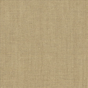 Rayner Oatmeal by Kasmir Fabric