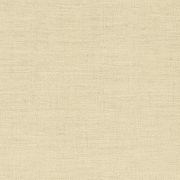 Rayner Pearl by Kasmir Fabric 1459 100% Linen
 POLAND </p><p>Repeat: Horizontal: N/A and Vertical: N/A 55 - Fabric Carolina -