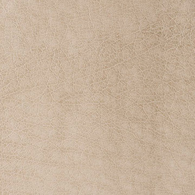 Rebel Tumbleweed by Kravet Contract Fabric
