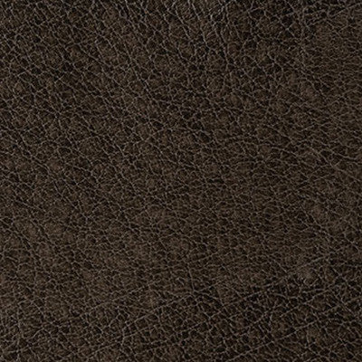 Rebel Stallion by Kravet Contract Fabric