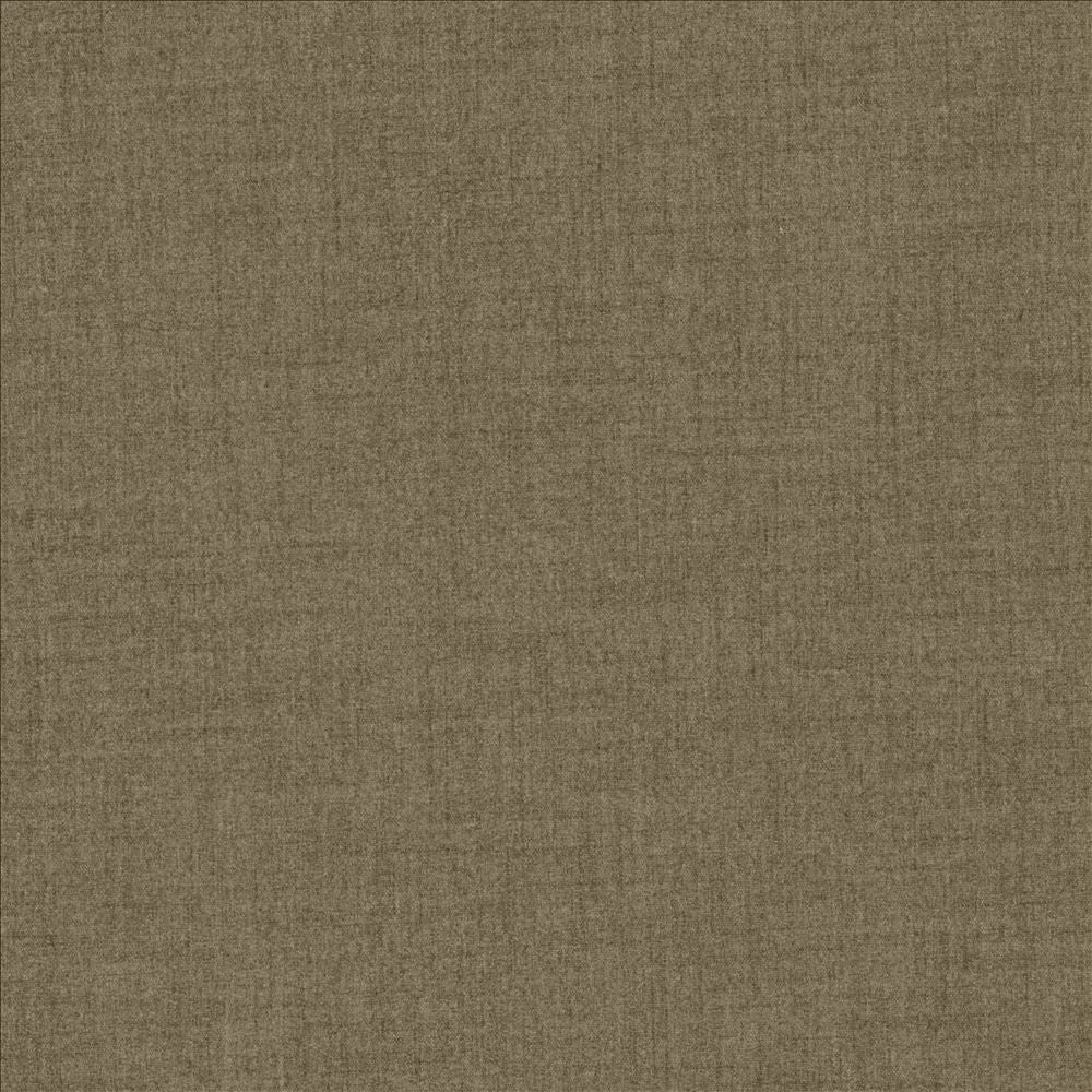 Refined Acorn by Kasmir Fabric 5159 100% Polyester TAIWAN 50,000 Wyzenbeek Double Rubs Horizontal: 0 Inches and Vertical: 0 Inches 54 - Fabric Carolina -