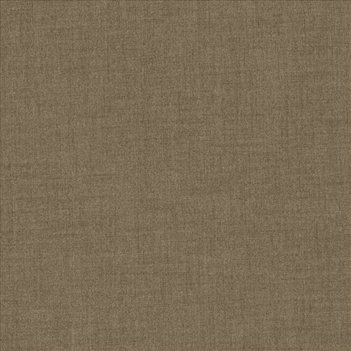 Refined Acorn  by Kasmir Fabric See sample 100% Polyester
 TAIWAN 50,000 Wyzenbeek Double Rubs </p><p>Repeat: Horizontal: N/A and Vertical: N/A 54  - Fabric Carolina -