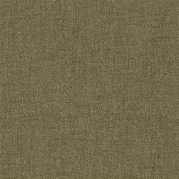 Refined Acorn by Kasmir Fabric 5159 100% Polyester
 TAIWAN </p><p>Repeat: Horizontal: N/A and Vertical: N/A 54 - Fabric Carolina -