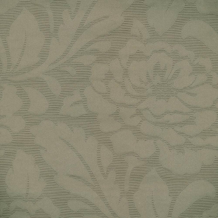 Regency Damask Buff by Kasmir Fabric 8001 INDIA Not Tested H: 9 4/8 inches, V:15 inches 57 - Fabric Carolina - Kasmir