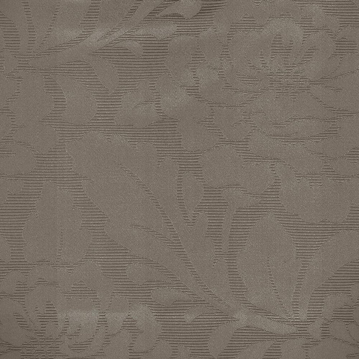 Regency Damask Latte by Kasmir Fabric 8001 INDIA Not Tested H: 9 4/8 inches, V:15 inches 57 - Fabric Carolina - Kasmir