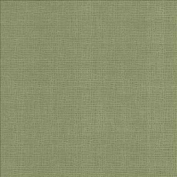 Regis Apple by Kasmir Fabric 5099 100% Polyester CHINA 125,000 Wyzenbeek Double Rubs H: N/A, V: N/A 55 - Fabric Carolina - Kasmir