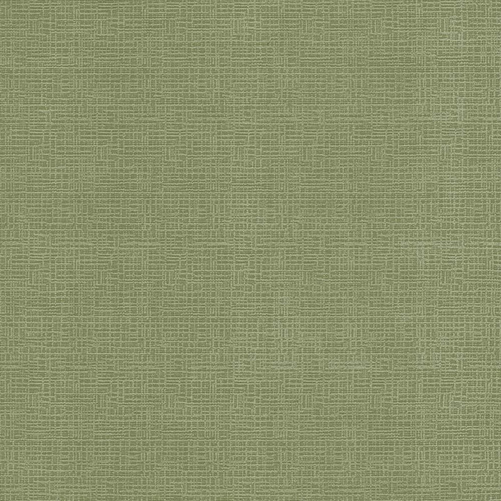 Regis Apple by Kasmir Fabric 5099 100% Polyester
 CHINA </p><p>Repeat: Horizontal: N/A and Vertical: N/A 55 - Fabric Carolina -