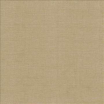 Regis Carmel by Kasmir Fabric 5093 100% Polyester CHINA 125,000 Wyzenbeek Double Rubs H: N/A, V: N/A 55 - Fabric Carolina - Kasmir