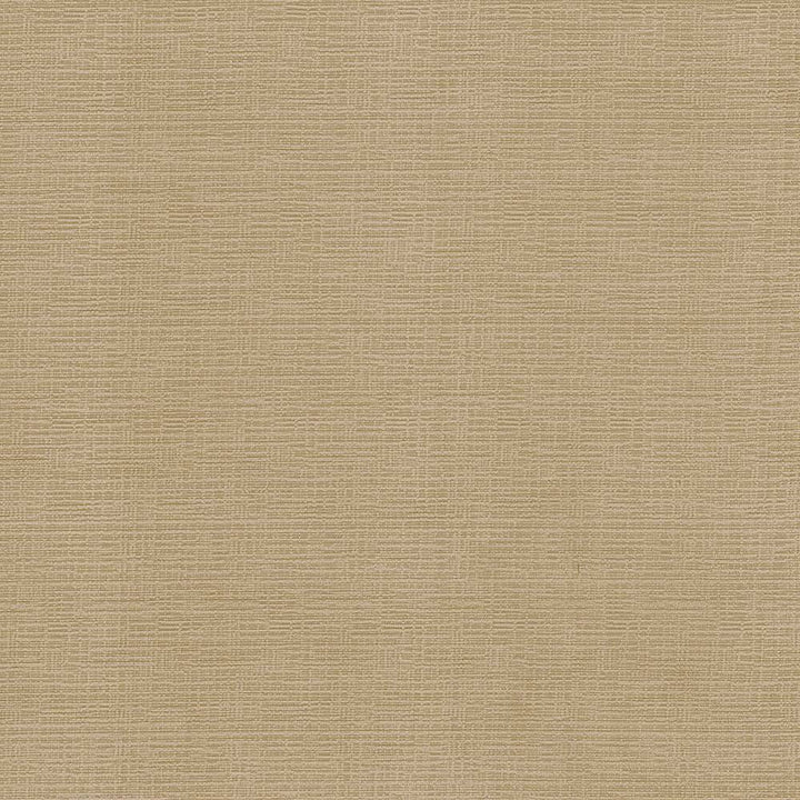Regis Carmel by Kasmir Fabric 5093 CHINA 125,000 Wyzenbeek Double Rubs H: N/A, V:N/A 55 - Fabric Carolina - Kasmir