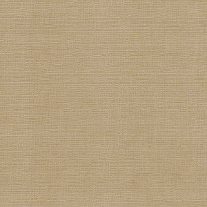Regis Carmel by Kasmir Fabric