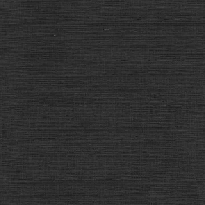 Regis Caviar by Kasmir Fabric 5101 CHINA 125,000 Wyzenbeek Double Rubs H: N/A, V:N/A 55 - Fabric Carolina - Kasmir