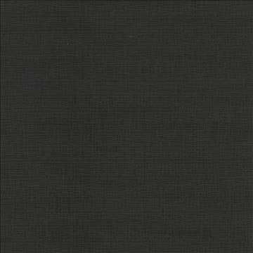 Regis Caviar by Kasmir Fabric 5101 100% Polyester CHINA 125,000 Wyzenbeek Double Rubs H: N/A, V: N/A 55 - Fabric Carolina - Kasmir