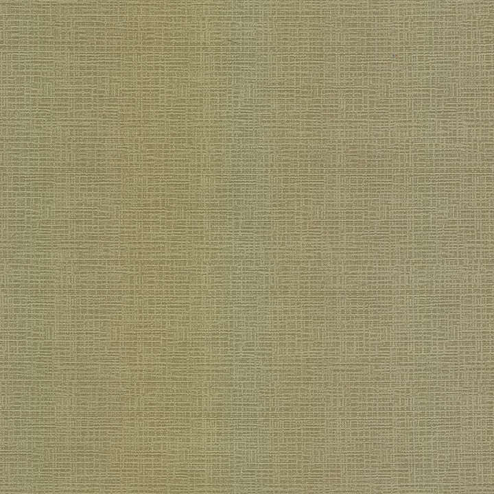 Regis Chartreuse by Kasmir Fabric 5099 100% Polyester
 CHINA </p><p>Repeat: Horizontal: N/A and Vertical: N/A 55 - Fabric Carolina -