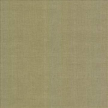 Regis Chartreuse by Kasmir Fabric 5099 100% Polyester CHINA 125,000 Wyzenbeek Double Rubs H: N/A, V: N/A 55 - Fabric Carolina - Kasmir