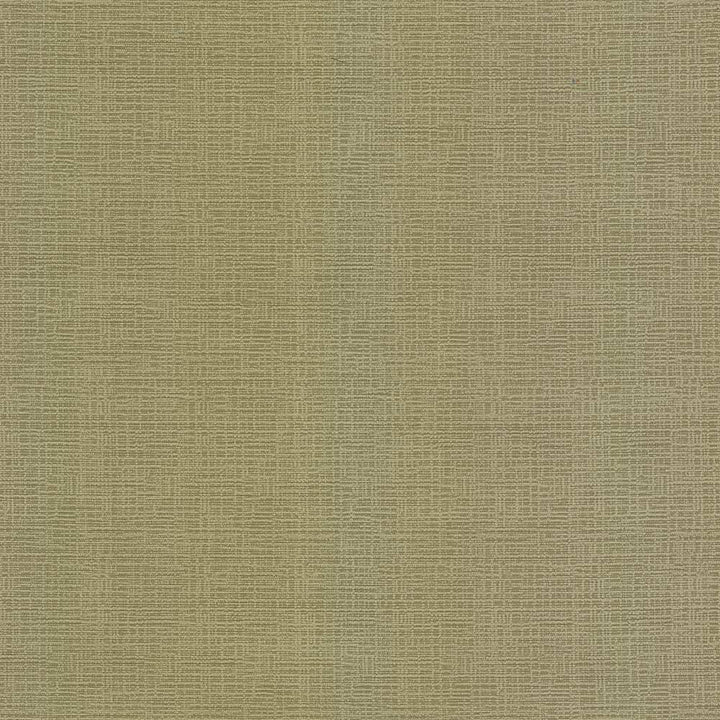 Regis Chartreuse by Kasmir Fabric 5099 CHINA 125,000 Wyzenbeek Double Rubs H: N/A, V:N/A 55 - Fabric Carolina - Kasmir