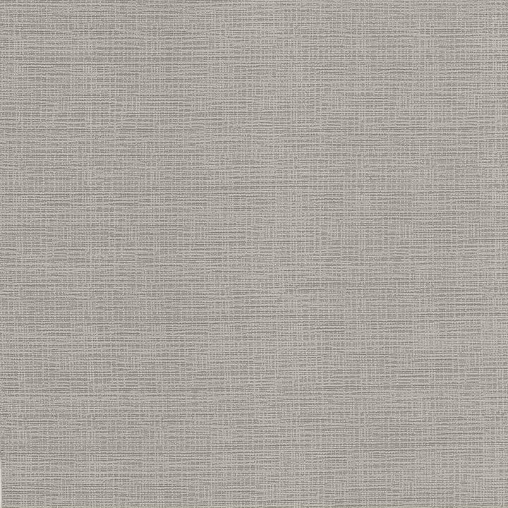 Regis Cinder by Kasmir Fabric 5100 CHINA 125,000 Wyzenbeek Double Rubs H: N/A, V:N/A 55 - Fabric Carolina - Kasmir