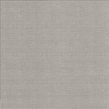 Regis Cinder by Kasmir Fabric 5100 100% Polyester CHINA 125,000 Wyzenbeek Double Rubs H: N/A, V: N/A 55 - Fabric Carolina - Kasmir