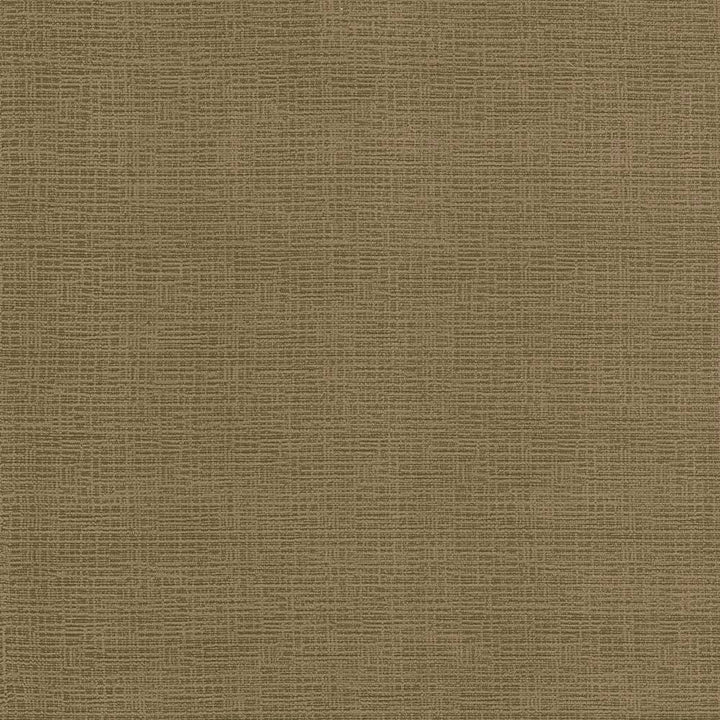 Regis Cognac by Kasmir Fabric 5093 CHINA 125,000 Wyzenbeek Double Rubs H: N/A, V:N/A 55 - Fabric Carolina - Kasmir
