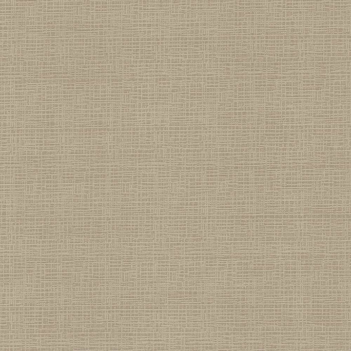 Regis Wheat by Kasmir Fabric 5092 CHINA 125,000 Wyzenbeek Double Rubs H: N/A, V:N/A 55 - Fabric Carolina - Kasmir