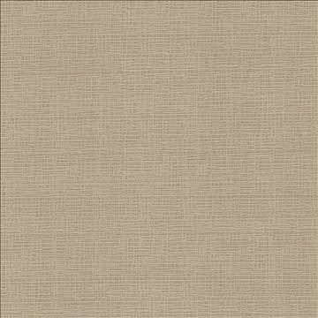 Regis Wheat by Kasmir Fabric 5092 100% Polyester CHINA 125,000 Wyzenbeek Double Rubs H: N/A, V: N/A 55 - Fabric Carolina - Kasmir