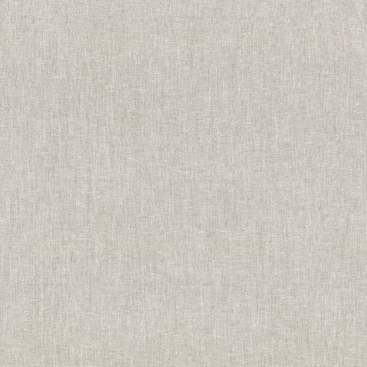 Reilly Linen by Kasmir Fabric 5035 38% Polyester
35% Cotton
16% Linen
11% Rayon
 TURKEY Not Tested Horizontal: N/A and Vertical: N/A 54 - Fabric Carolina -