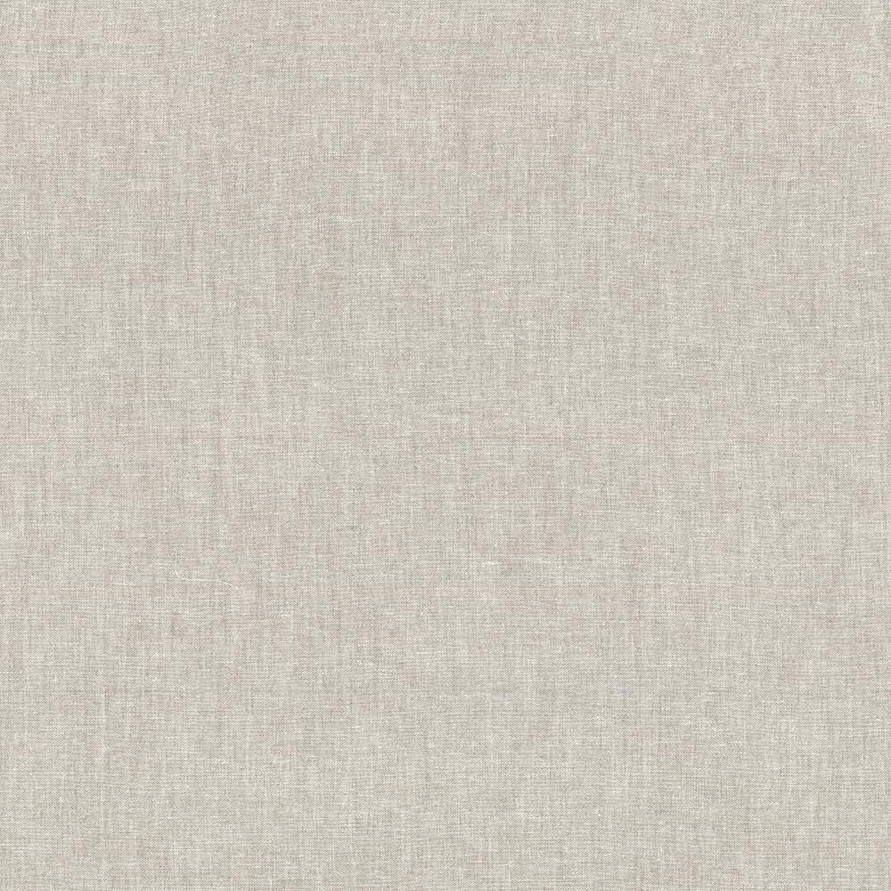 Reilly Linen by Kasmir Fabric 5035 TURKEY Not Tested H: N/A, V:N/A 54 - Fabric Carolina - Kasmir