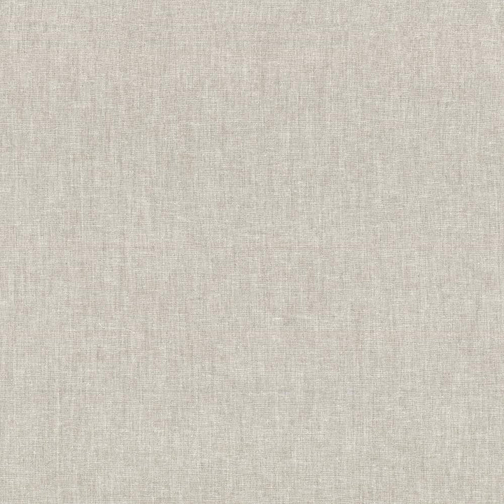 Reilly Linen by Kasmir Fabric 5035 TURKEY Not Tested H: N/A, V:N/A 54 - Fabric Carolina - Kasmir
