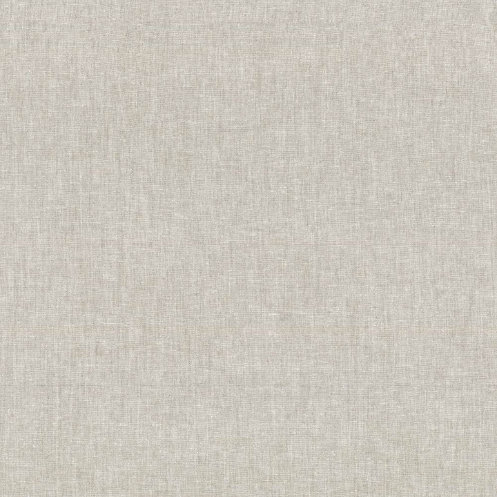 Reilly Linen by Kasmir Fabric 5035 38% Polyester
35% Cotton
16% Linen
11% Rayon
 TURKEY </p><p>Repeat: Horizontal: N/A and Vertical: N/A 54 - Fabric Carolina -