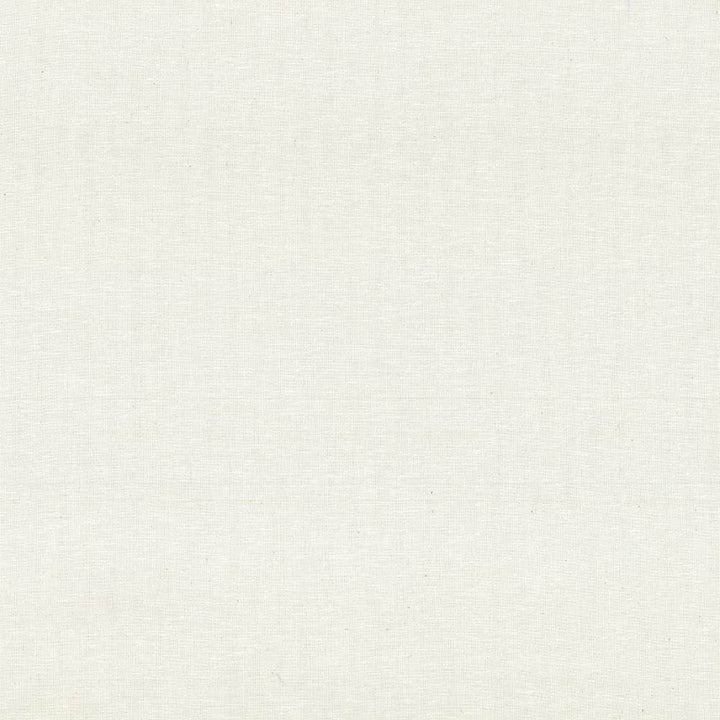 Reilly Natural by Kasmir Fabric 5035 38% Polyester
35% Cotton
16% Linen
11% Rayon
 TURKEY </p><p>Repeat: Horizontal: N/A and Vertical: N/A 54 - Fabric Carolina -