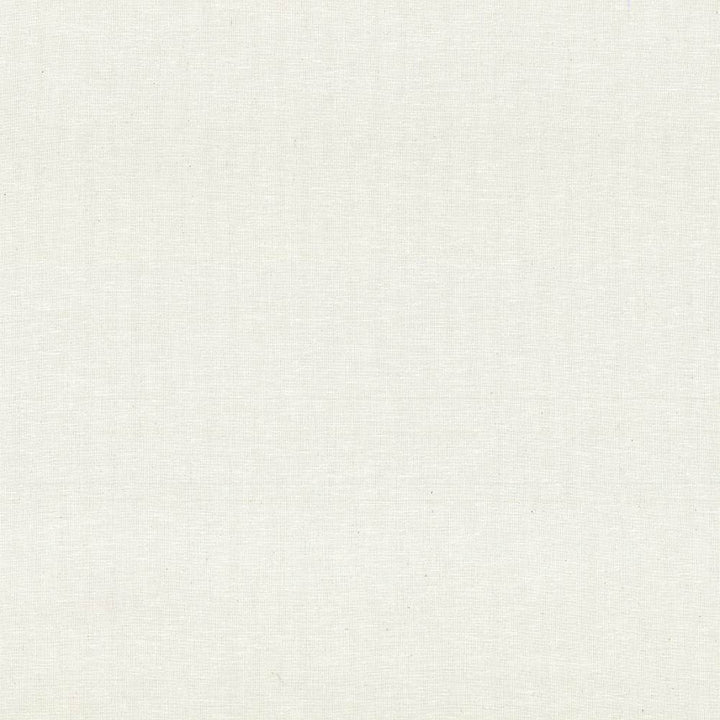 Reilly Natural by Kasmir Fabric 5035 38% Polyester
35% Cotton
16% Linen
11% Rayon
 TURKEY </p><p>Repeat: Horizontal: N/A and Vertical: N/A 54 - Fabric Carolina -