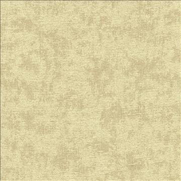 Relic Tea Stain by Kasmir Fabric 5120 100% Polyester CHINA 51,000 Wyzenbeek Double Rubs H: 14 7/8 inches, V: 21 6/8 inches 57 - Fabric Carolina - Kasmir
