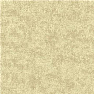 Relic Tea Stain by Kasmir Fabric